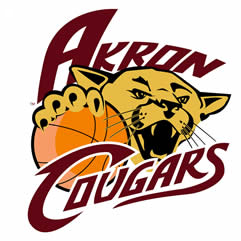 Akron Cougars 2007 Primary Logo iron on transfers for clothing